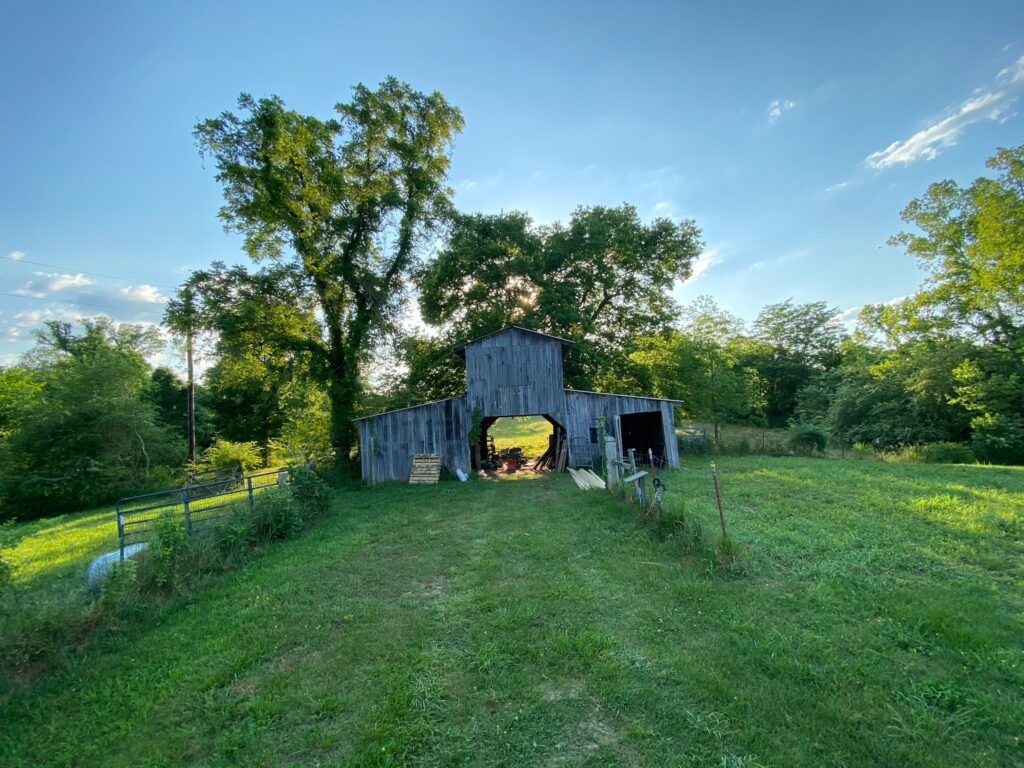The Holler and a Half barn at the end of a mowed path in summer